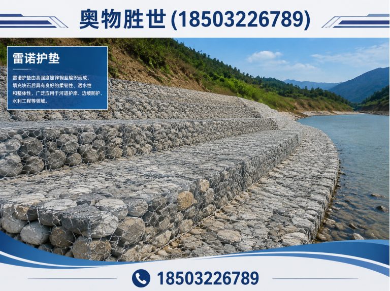 湘潭雷诺护垫展示图